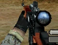 Dragunov DS