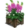 Foxglove Flowerbed-icon.png