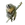 Item owlmonkey 01