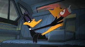Daffy Litters Yet Again