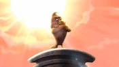 Chicken Hawk