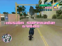 Autocidio10