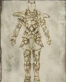 AmberItems.jpg