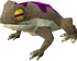 Barker toad