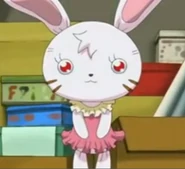 Usapyon