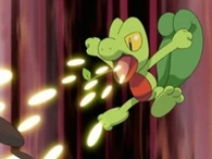 EP341 Treecko (2)