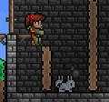 Bunniesareimmunetoexplosives.png