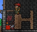 Bunnycarnage.png