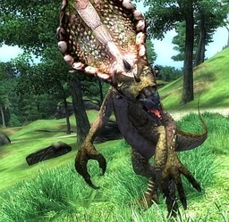 Clanfear