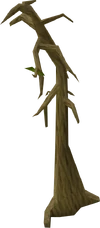 Dying tree