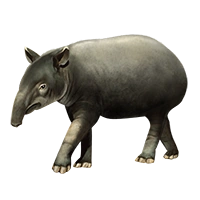 Huge item bairdstapir 01.png