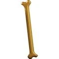 Golden Bone