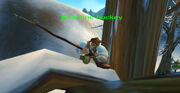 WoWScrnShot 061211 125417