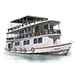 Item amazonrivercruiser 01