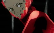 Fists of Blood