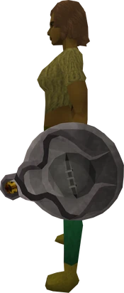Protector's ward equipped