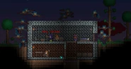 15 Harpies
