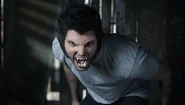 DerekWerewolf