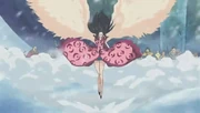Cien Fleurs Wing