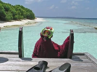 Telly Travels