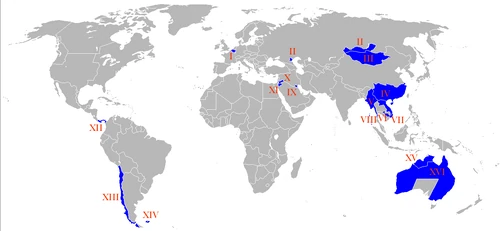 Treaty of Beira