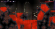 5boneserpents