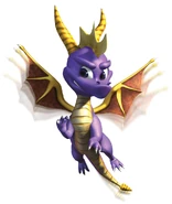 Spyro flap