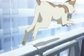 Toaru Majutsu no Index-tan E02 01m 09s.jpg