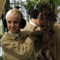 Draco2.jpg