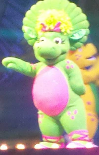 1st Barney LIVE Baby Bop Costume