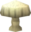 Button mushroom detail
