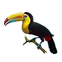Huge item brazilliantoucan 01.png
