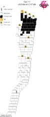 Map 1-1 Demo