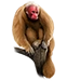Item uakari 01
