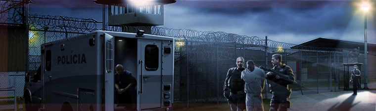 30 Arrange-For-Prisoner-Transfers