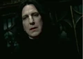 Snape head.png
