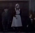 Professor Sprout, madam Pomfrey and professor Flitwick.jpg