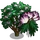 Mimosa Silk Tree-icon
