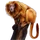 Item goldenliontamarin 01