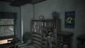 Alanwake.png