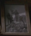 BC.jpg