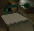 Plume à Papote.jpg