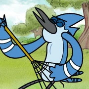 CNMordecai