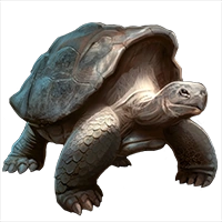 Huge item galapagostortoise 01.png