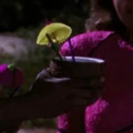 Coco-no-no.jpg