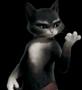 Kitty softpaws 0001