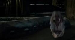 Nagini strikes