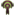 Ogrila 15