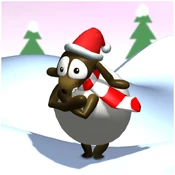 Sheep cold