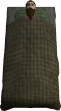 Marius